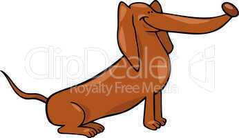 cute dachshund dog cartoon illustration