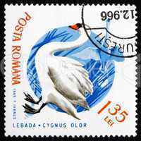 Postage stamp Romania 1965 Mute Swan, Bird