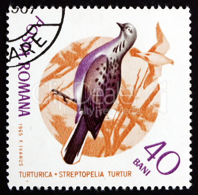 Postage stamp Romania 1965 Turtle Dove, Bird