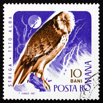Postage stamp Romania 1967 Barn Owl, Bird of Prey
