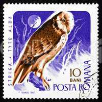 Postage stamp Romania 1967 Barn Owl, Bird of Prey