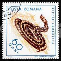 Postage stamp Romania 1965 Sand Viper, Reptile