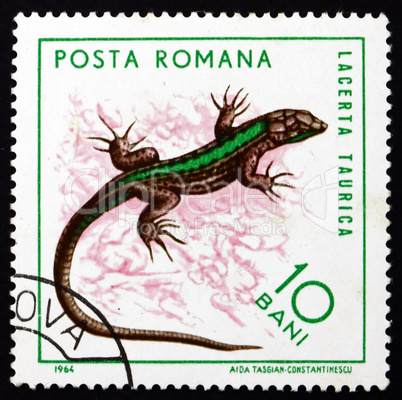 Postage stamp Romania 1965 Bull Lizard, Reptile