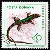 Postage stamp Romania 1965 Bull Lizard, Reptile
