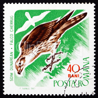 Postage stamp Romania 1967 Saker Falcon, Bird of Prey