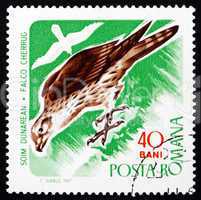 Postage stamp Romania 1967 Saker Falcon, Bird of Prey