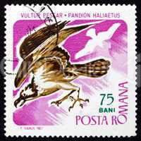 Postage stamp Romania 1967 Osprey, Bird of Prey
