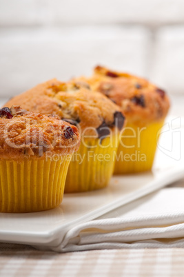 fresh chocolate and raisins muffins