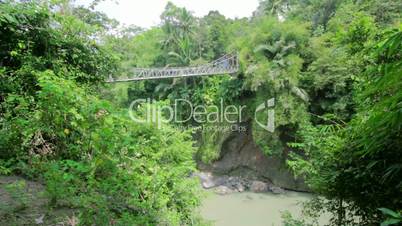 wooden bridge in jungle