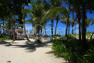 Karibi Strand mit Palmen (Dominikanische Republik)