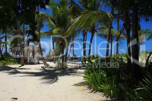 Karibi Strand mit Palmen (Dominikanische Republik)