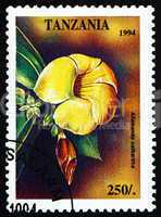 Postage stamp Tanzania 1994 Golden Trumpet, Allamanda Cathartica