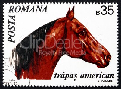Postage stamp Romania 1970 American Trotter, Horse