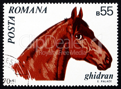 Postage stamp Romania 1970 Ghidran, Horse