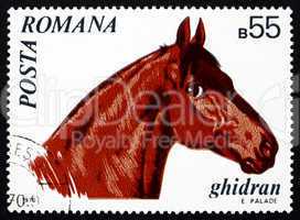 Postage stamp Romania 1970 Ghidran, Horse