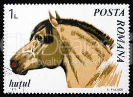 Postage stamp Romania 1970 Northern Moravian, Horse
