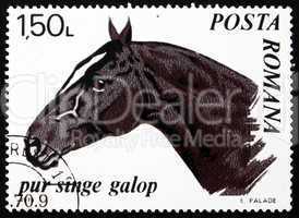 Postage stamp Romania 1970 Trotter Thoroughbred, Horse
