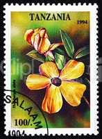 Postage stamp Tanzania 1994 Thunbergia Alata, Plant