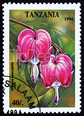 Postage stamp Tanzania 1994 Bleeding heart, Dicentra Spectabilis
