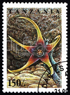 Postage stamp Tanzania 1995 Caralluma Lugarii, Cactus Flower
