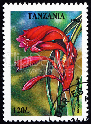 Postage stamp Tanzania 1994 Cyrtanthus Minimiflorus, Plant