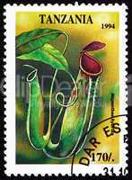Postage stamp Tanzania 1994 Monkey Cup, Nepenthes Hybrida, Plant