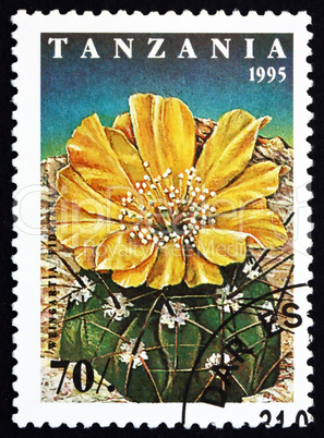 Postage stamp Tanzania 1995 Weingartia Fidaiana, Cactus Flower
