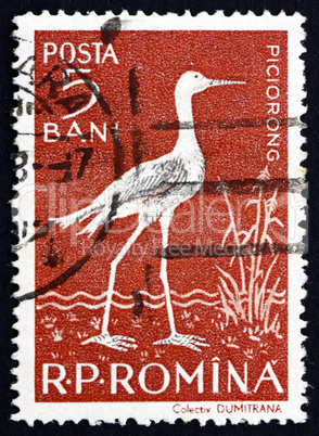Postage stamp Romania 1957 Black-winged Stilt, Wader Bird