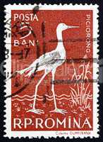 Postage stamp Romania 1957 Black-winged Stilt, Wader Bird