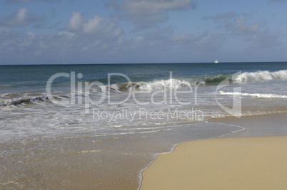 France, Martinique, Salines beach in Sainte Anne