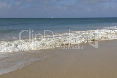 France, Martinique, Salines beach in Sainte Anne