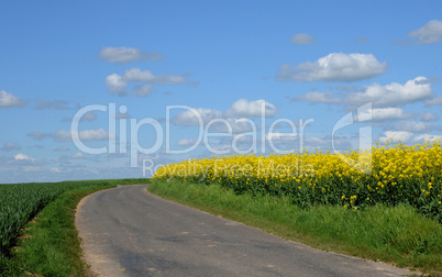 France, a country road in Giverny