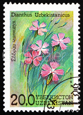 Postage stamp Uzbekistan 1993 Dianthus, Dianthus Uzbekistanicus,