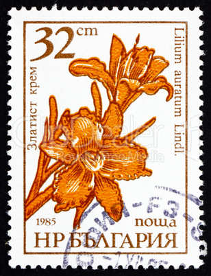 Postage stamp Bulgaria 1986 Goldband Lily, Lilium Auratum, Flowe