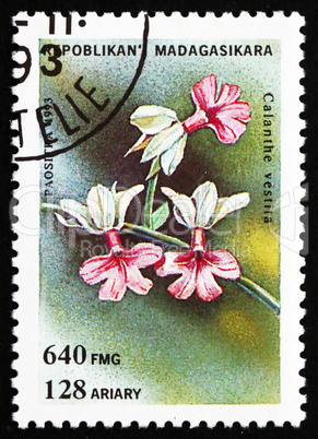 Postage stamp Malagasy 1993 Calanthe Vestita, Orchid