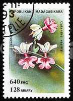 Postage stamp Malagasy 1993 Calanthe Vestita, Orchid