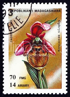 Postage stamp Malagasy 1993 Ophrys Oestrifera, Orchid