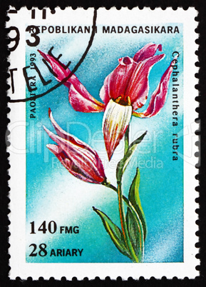 Postage stamp Malagasy 1993 Red Helleborine, Cephalanthera Rubra