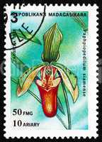 Postage stamp Malagasy 1993 Lady?s Slipper, Paphiopedilum Siam