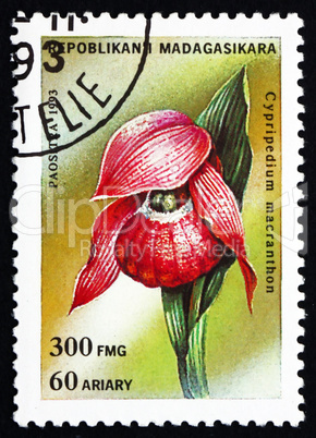 Postage stamp Malagasy 1993 Cypripedium Macranthon, Orchid