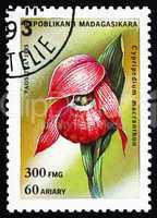 Postage stamp Malagasy 1993 Cypripedium Macranthon, Orchid