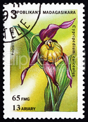 Postage stamp Malagasy 1993 Cypripedium Calceolus, Orchid