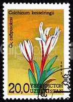 Postage stamp Uzbekistan 1993 Autumn Crocus, Colchicum Kesselrin