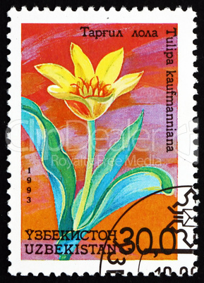 Postage stamp Uzbekistan 1993 Waterlily Tulip, Tulipa Kaufmannia