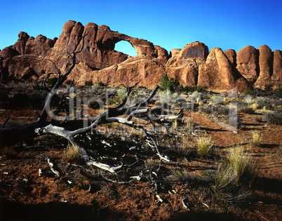 Arches National Park, Utah