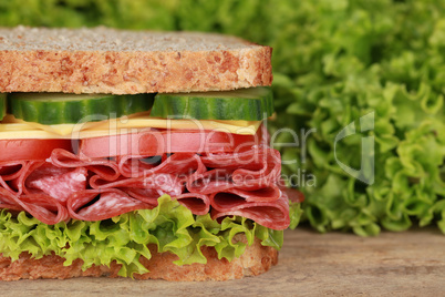 Sandwich mit Salami und Textfreiraum