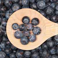 Blaubeeren