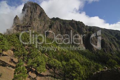 La Palma; La Cumbrecia; Felsformationen; Nadelwald; Wolken