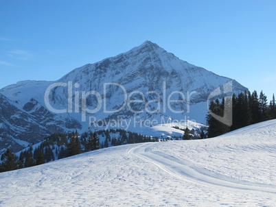 Winterlandscape In The Saanenland