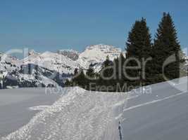 Winter Scene In Gstaad